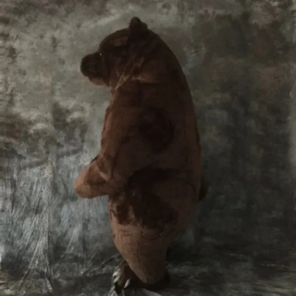 Inflatable Brown Bear Mascot C - Costumes ulasan dan harga